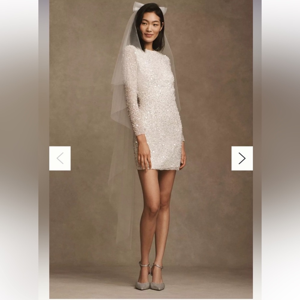 NWT BHLDN Josie Long Sleeve Dress (size 2)